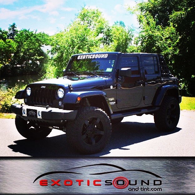 Exotic Sound and Tint Logo