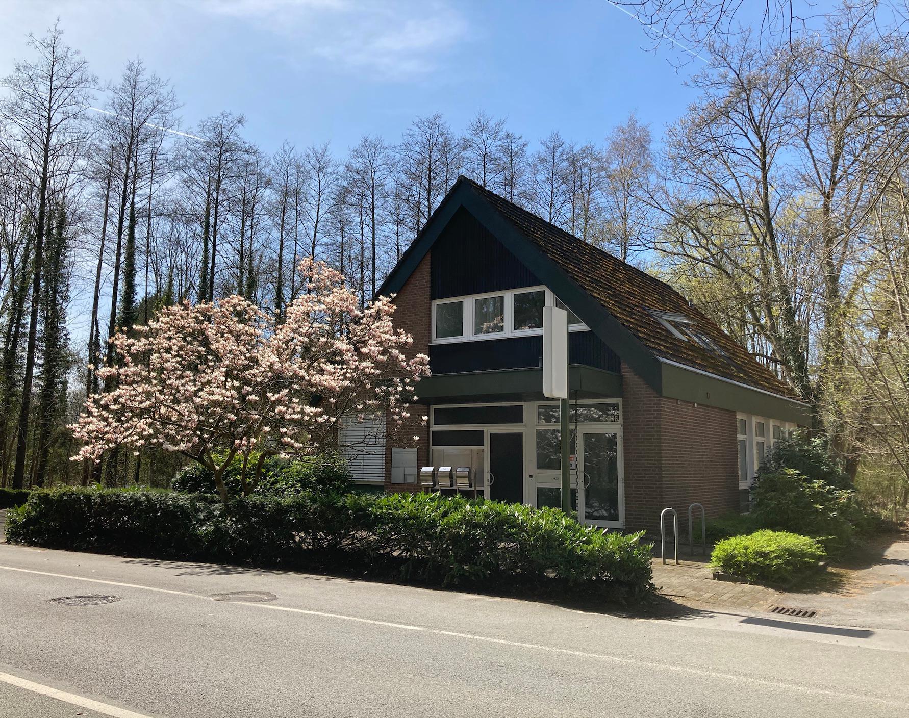 Logopädische Praxis 