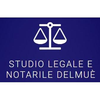 Delmuè Nicola Logo