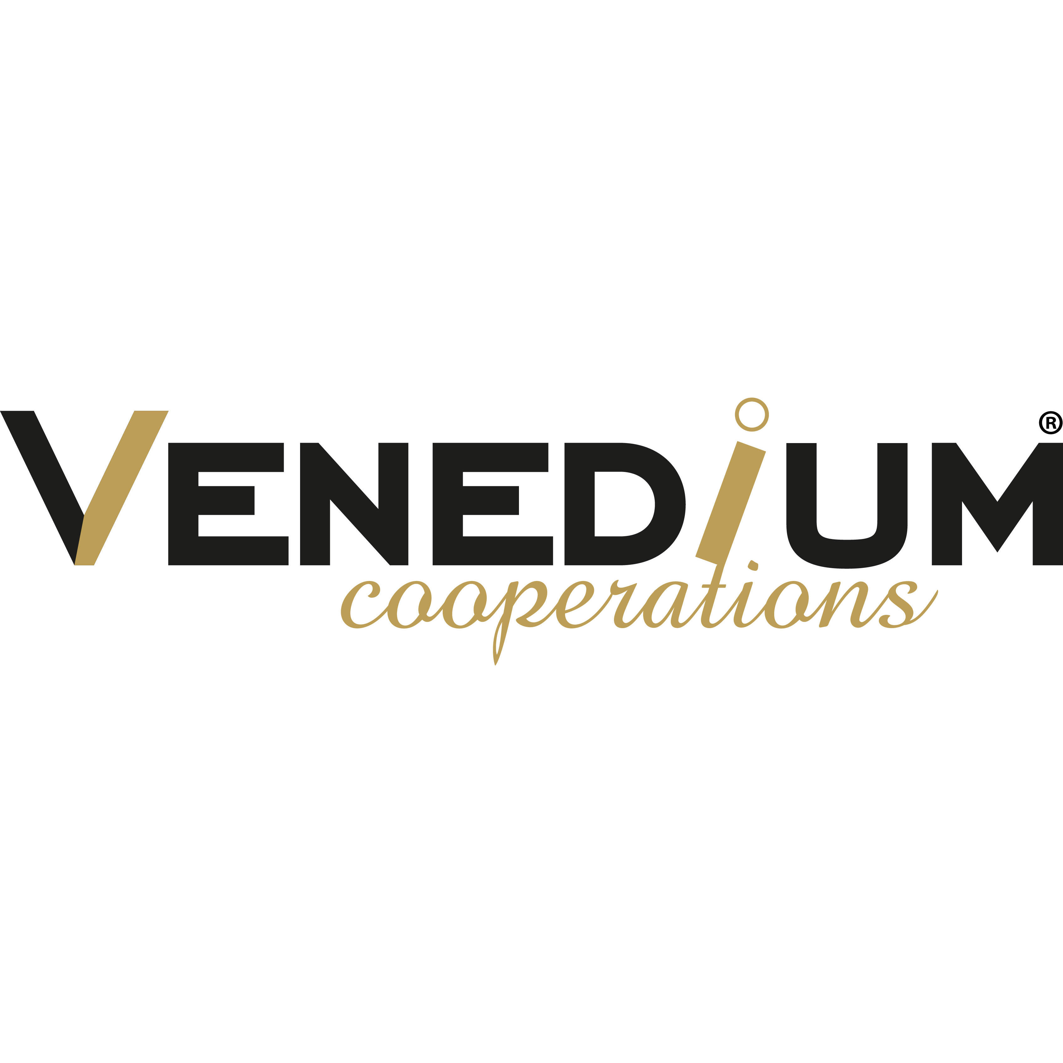 Logo Venedium
