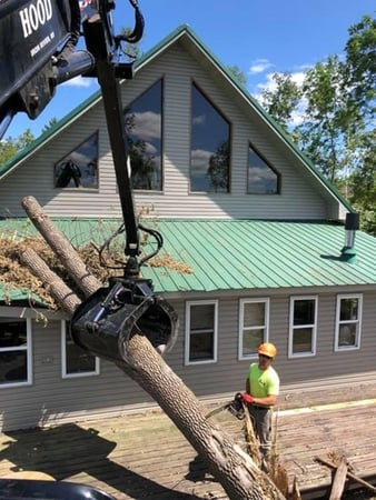 Images JCE Tree Service