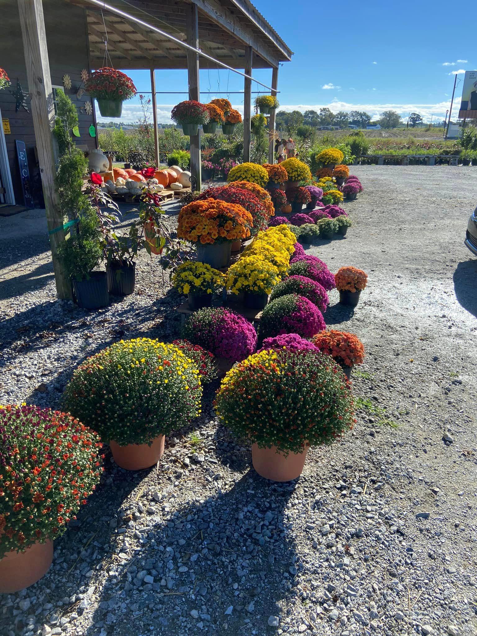 Image 5 | Whispering Pines Nursery and Landscaping