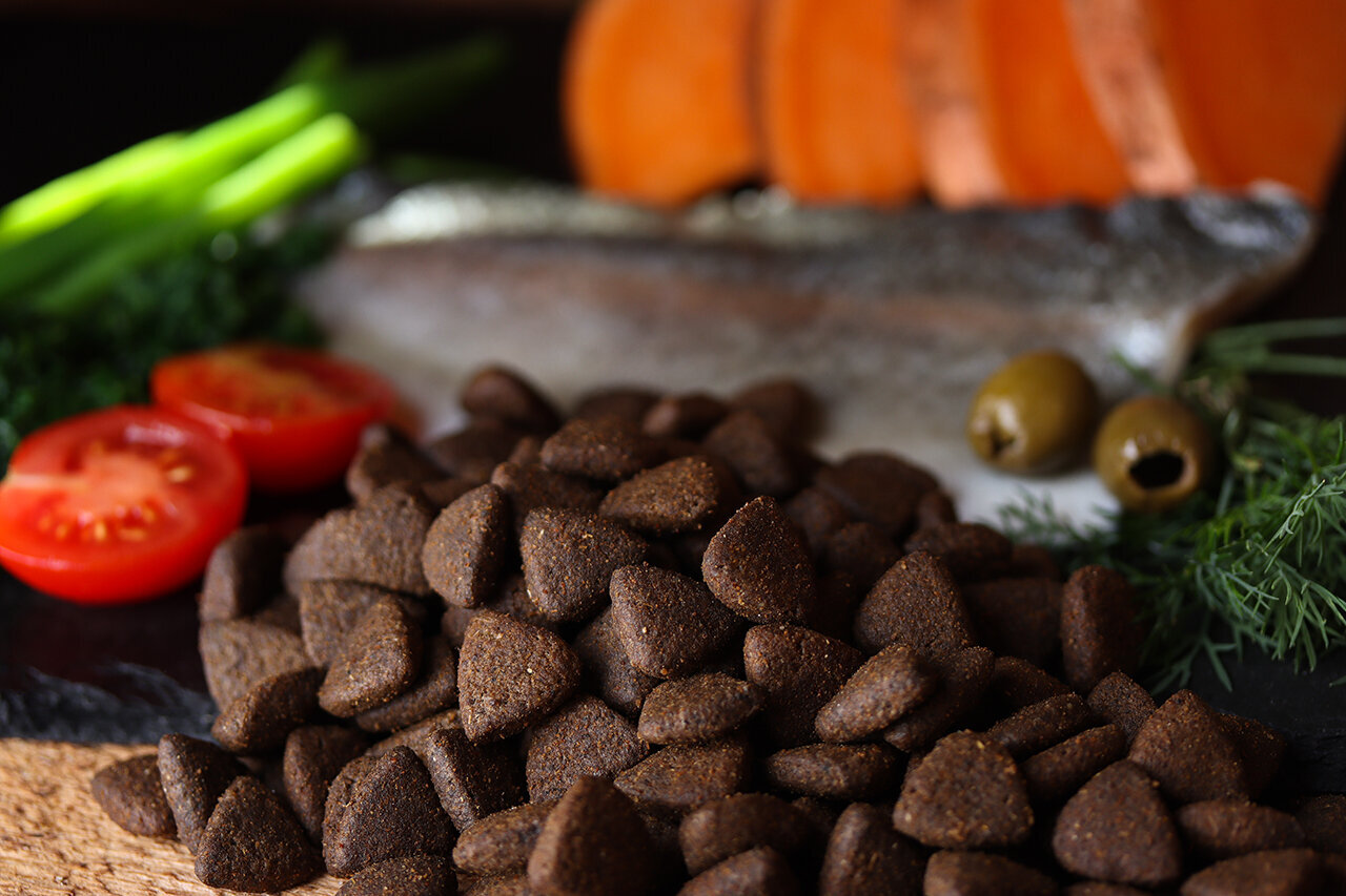 Bilder Green Pet Shop