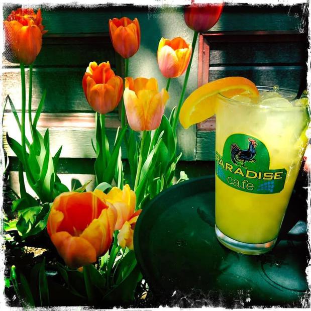 Images Paradise Cafe
