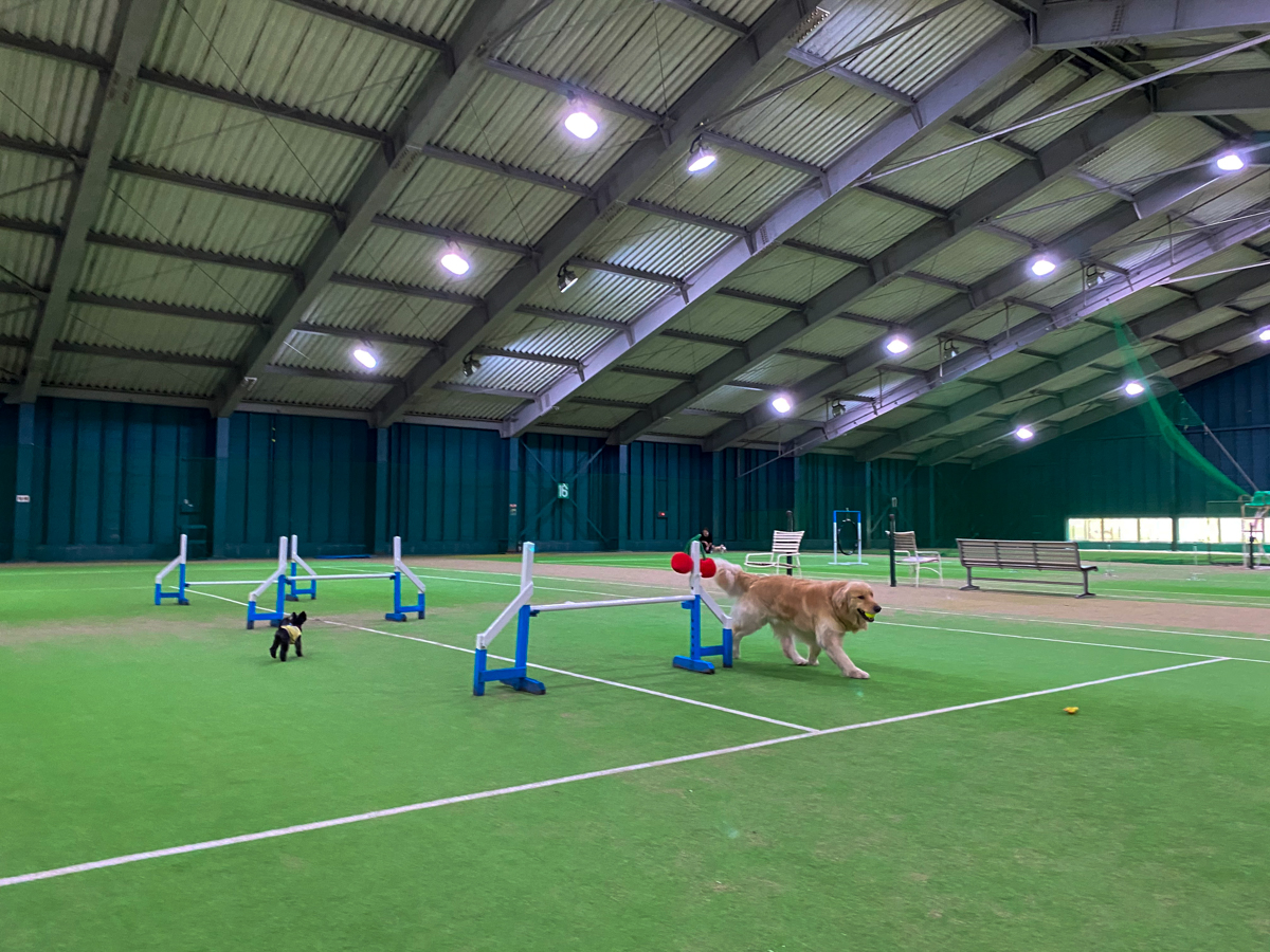 Images フジプレミアムリゾート