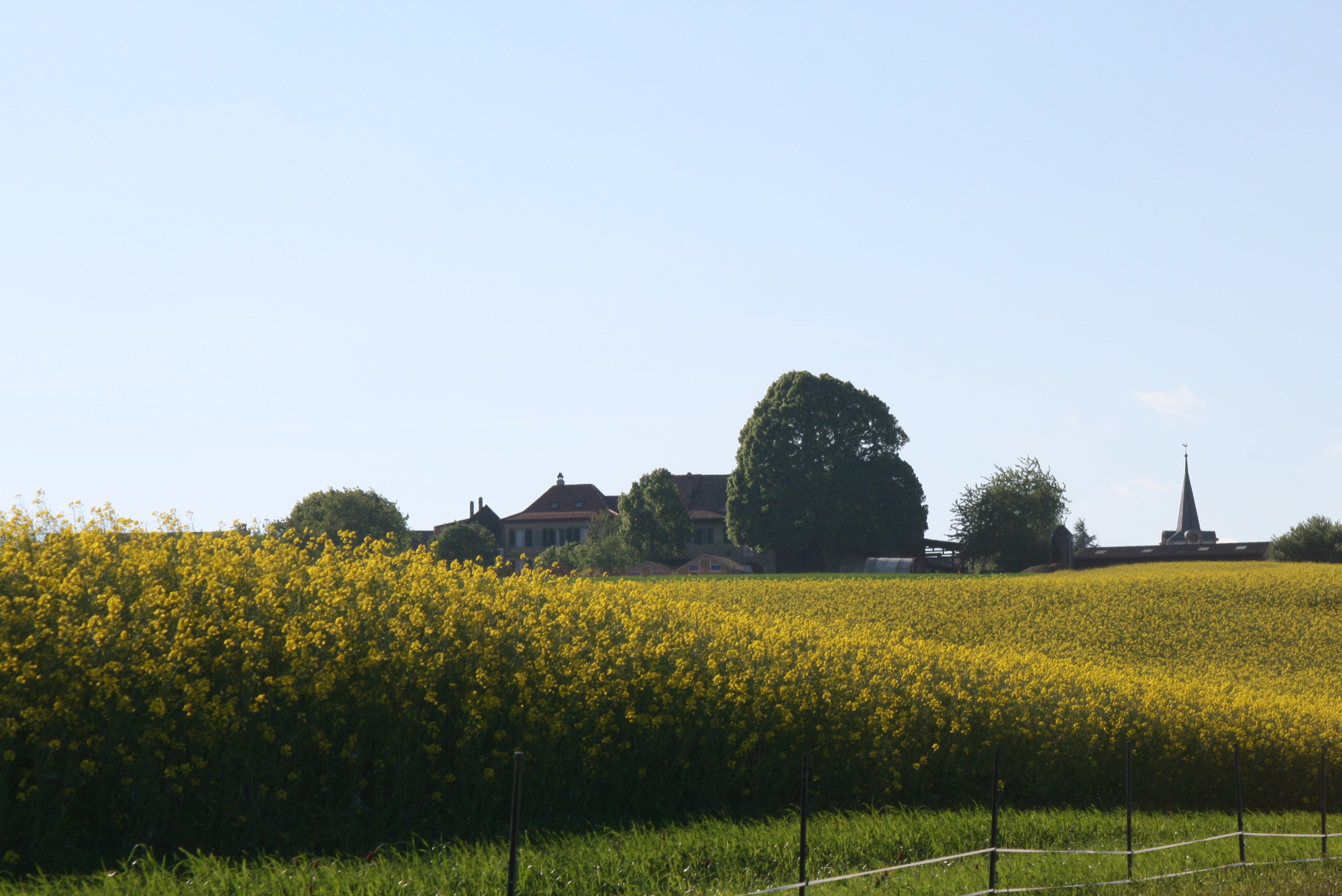 Bilder La Ferme En Croix