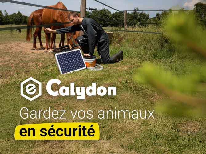 Calydon, expert de vos clôtures électriques