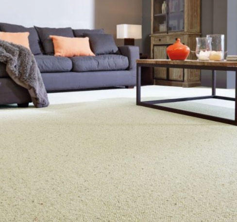 A loop carpet in a living room space