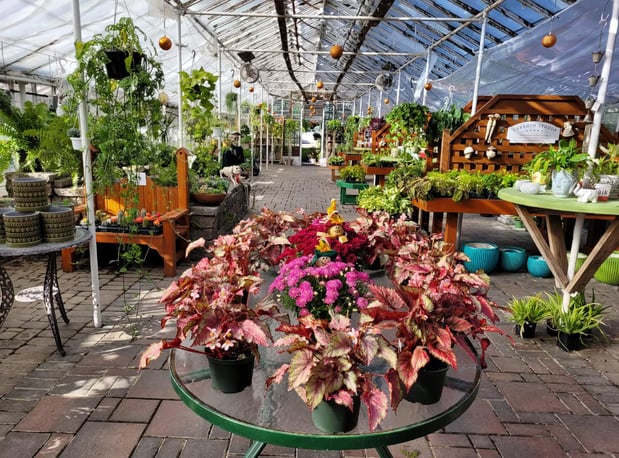 Images Puritas Nursery & Garden Center