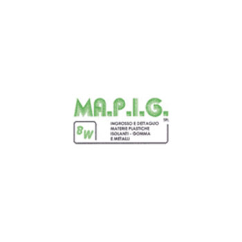 Mapig Logo