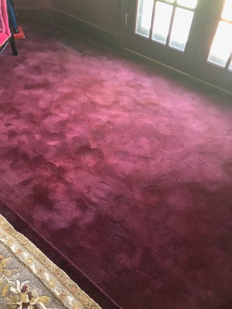 Images Carpet Pro Carpet Cleaning & Dyeing