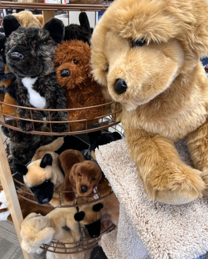 Celebrate National Dog Day at Little Lincoln’s Toy Shop with cuddly Douglas Plush dogs in different breeds, colors, and sizes. Find an adorable stuffed puppy to name, love, and take home today.