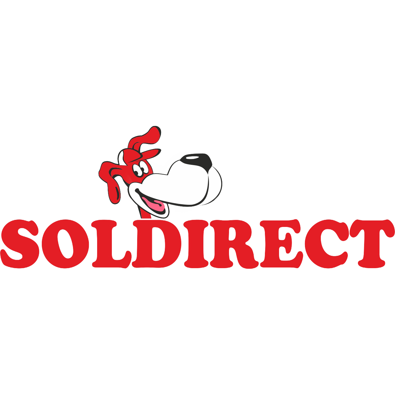 Soldirect SA Logo