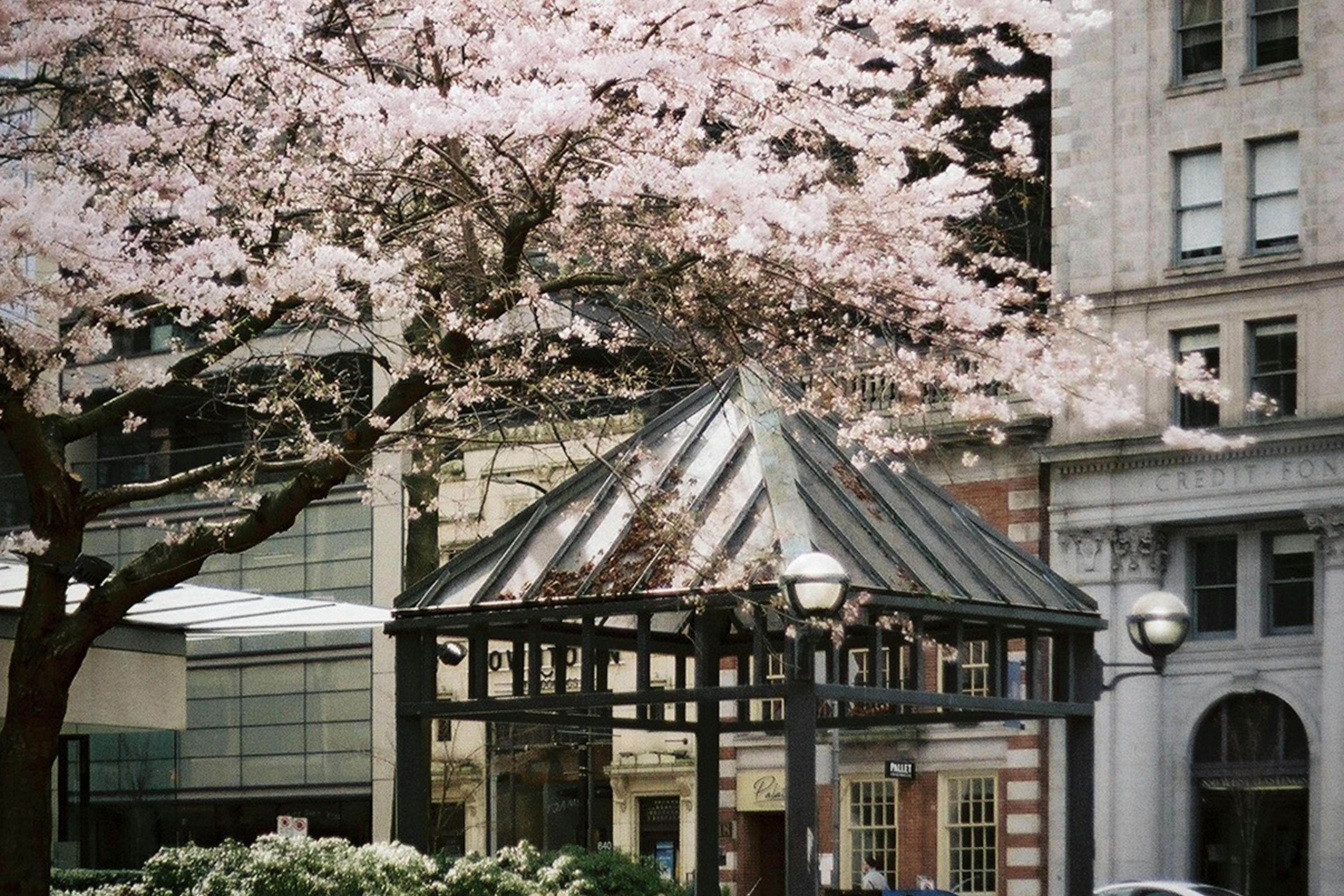 main blog image