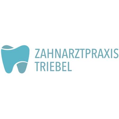 Zahnarztpraxis Triebel Logo