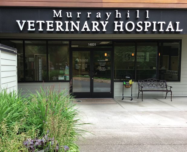 Images VCA Murrayhill Veterinary Hospital