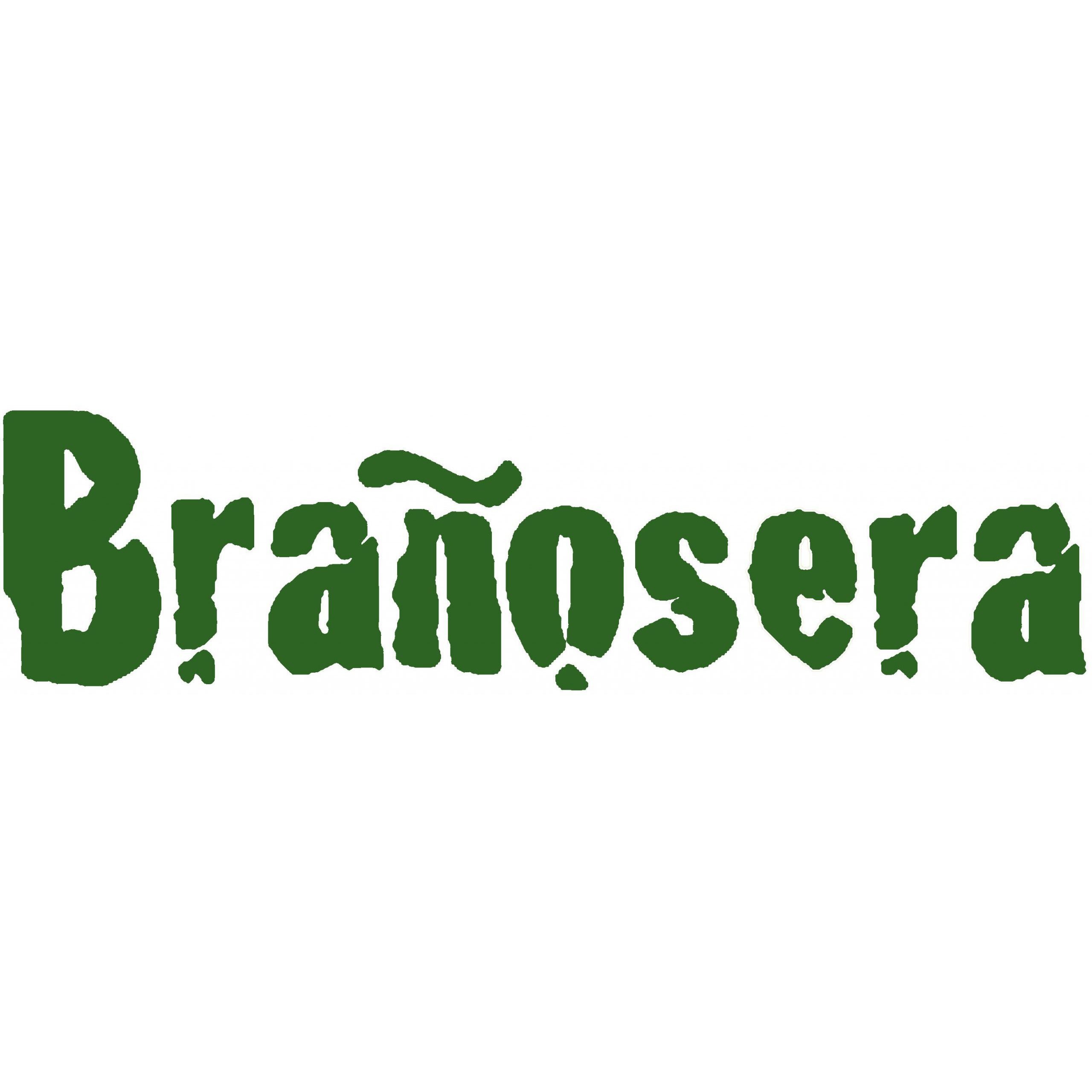 Ayuntamiento De Brañosera Logo