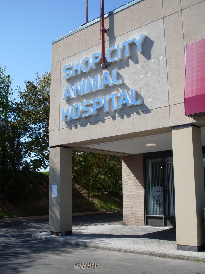 Image 8 | Shop City Animal Hospital