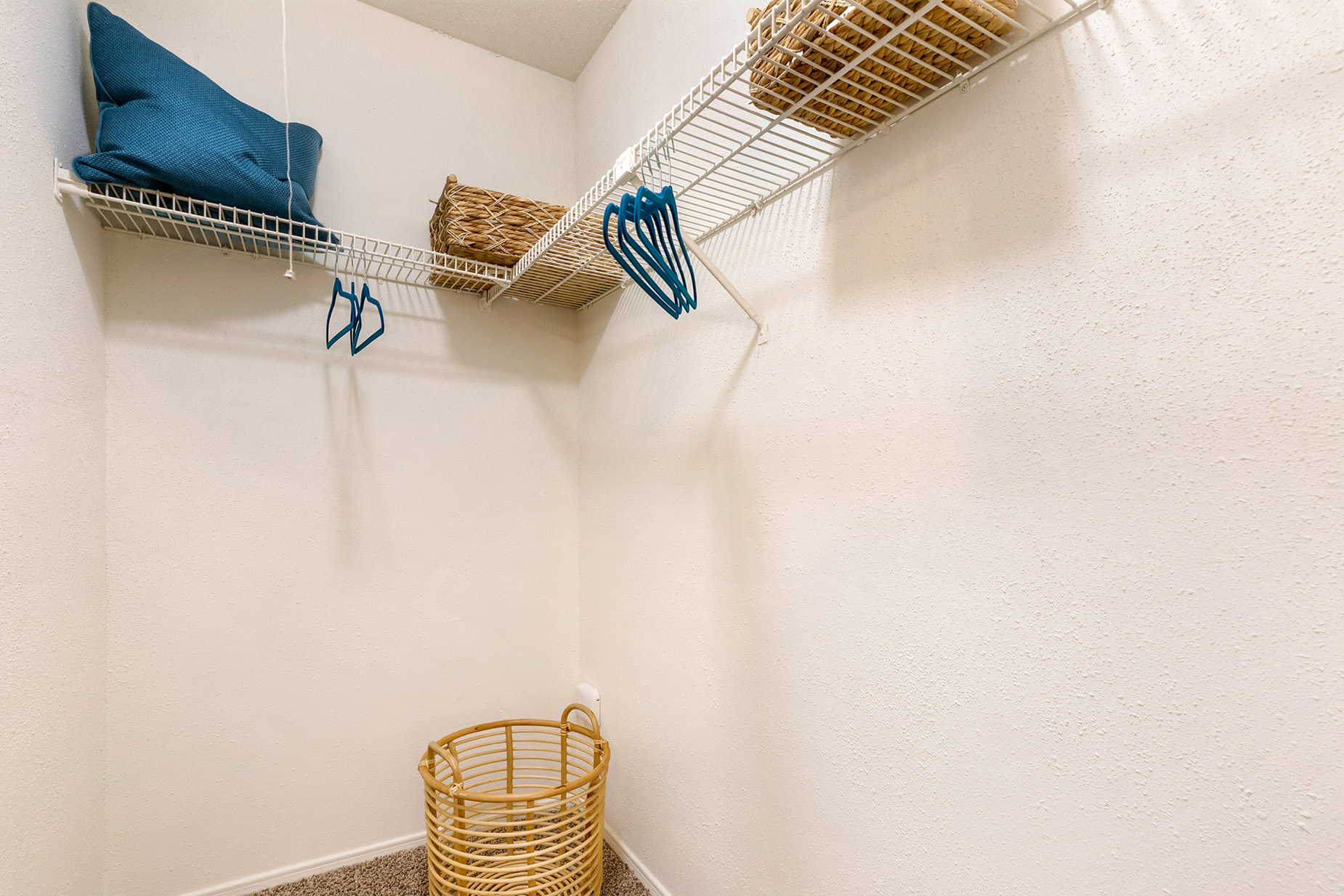 Large Closet with Organized Shelving