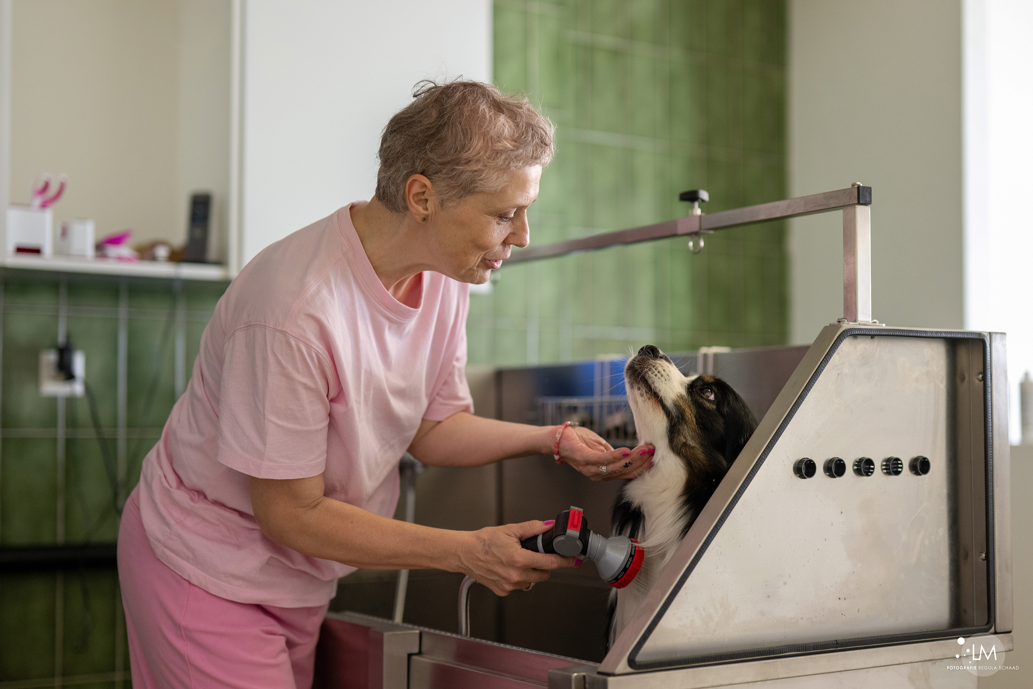 Bilder Lina, Hundert Prozent wau, Gesundheit, Training und Unterstützung für Hunde und ihre Menschen, Sandra Egli