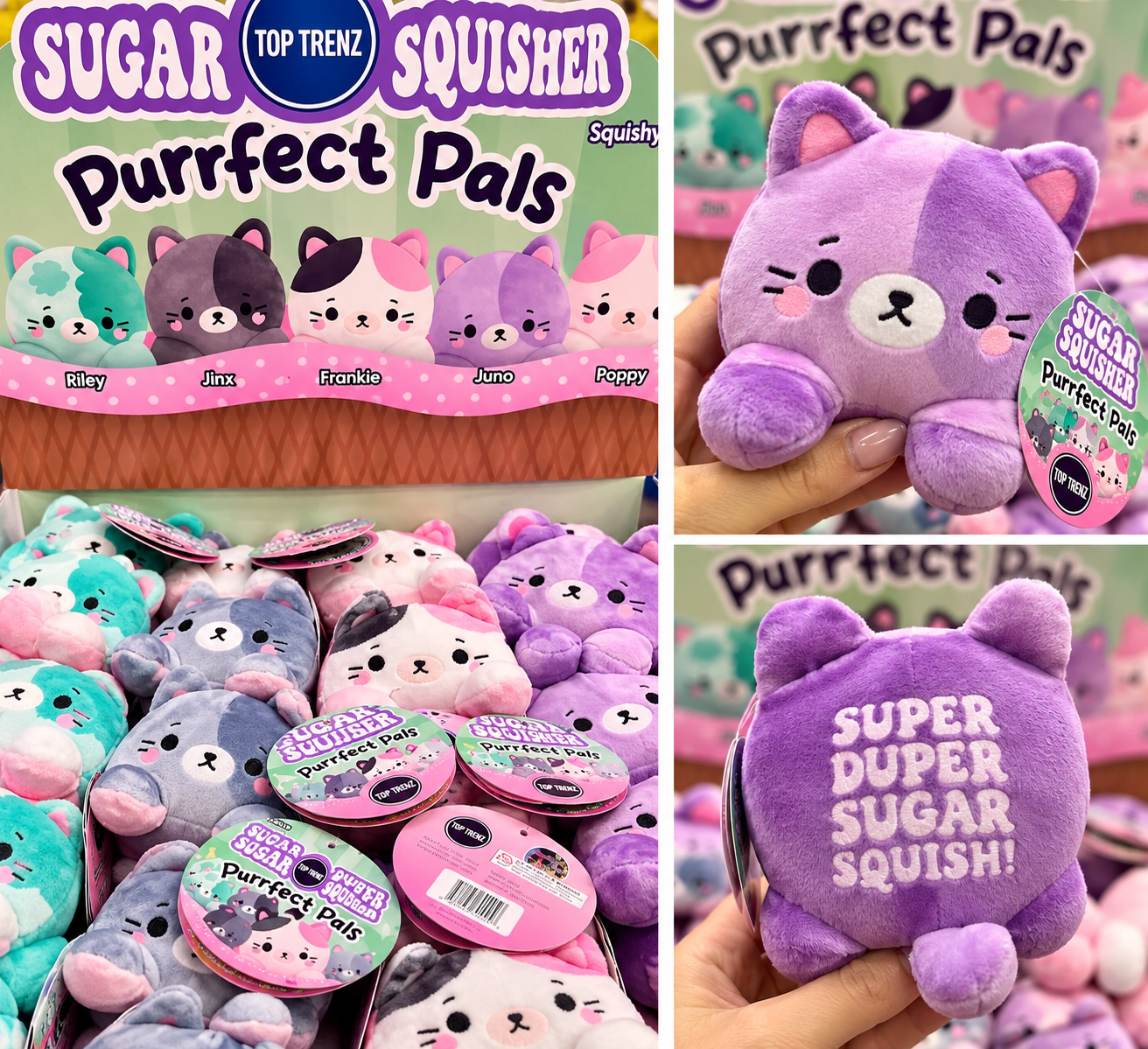 Discover the newest Top Trenz Sugar Squisher Purrfect Pals at Noggin Factory in Dover, NH! These adorable, colorful, super-soft cat squishies are perfect for sensory play, gifts, and endless squishy fun!