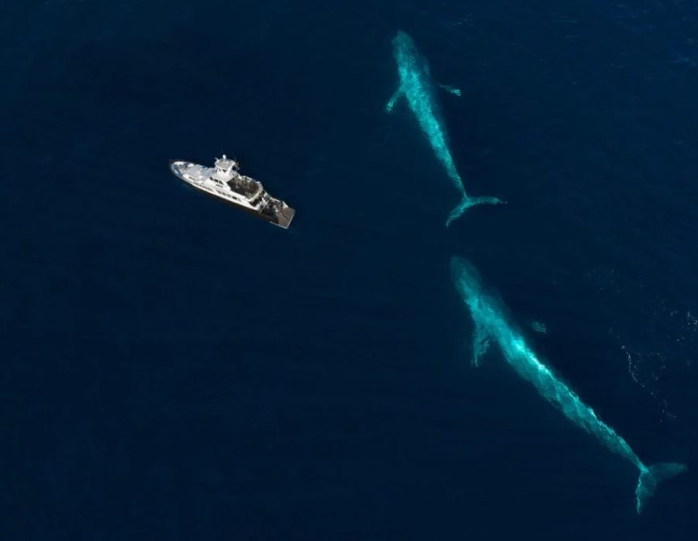 Images Trails and Oceans