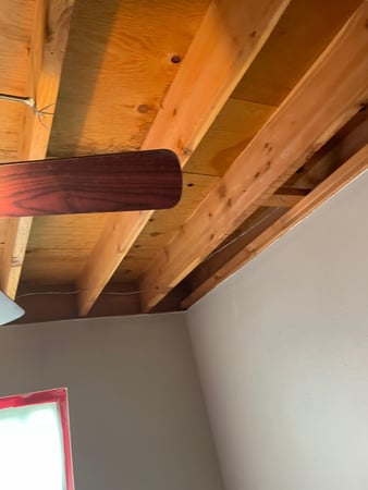 Images Rex Environmental