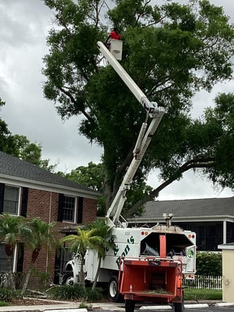 Images Pete and Rons Tree Service