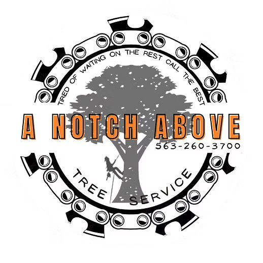 A Notch Above Tree Service