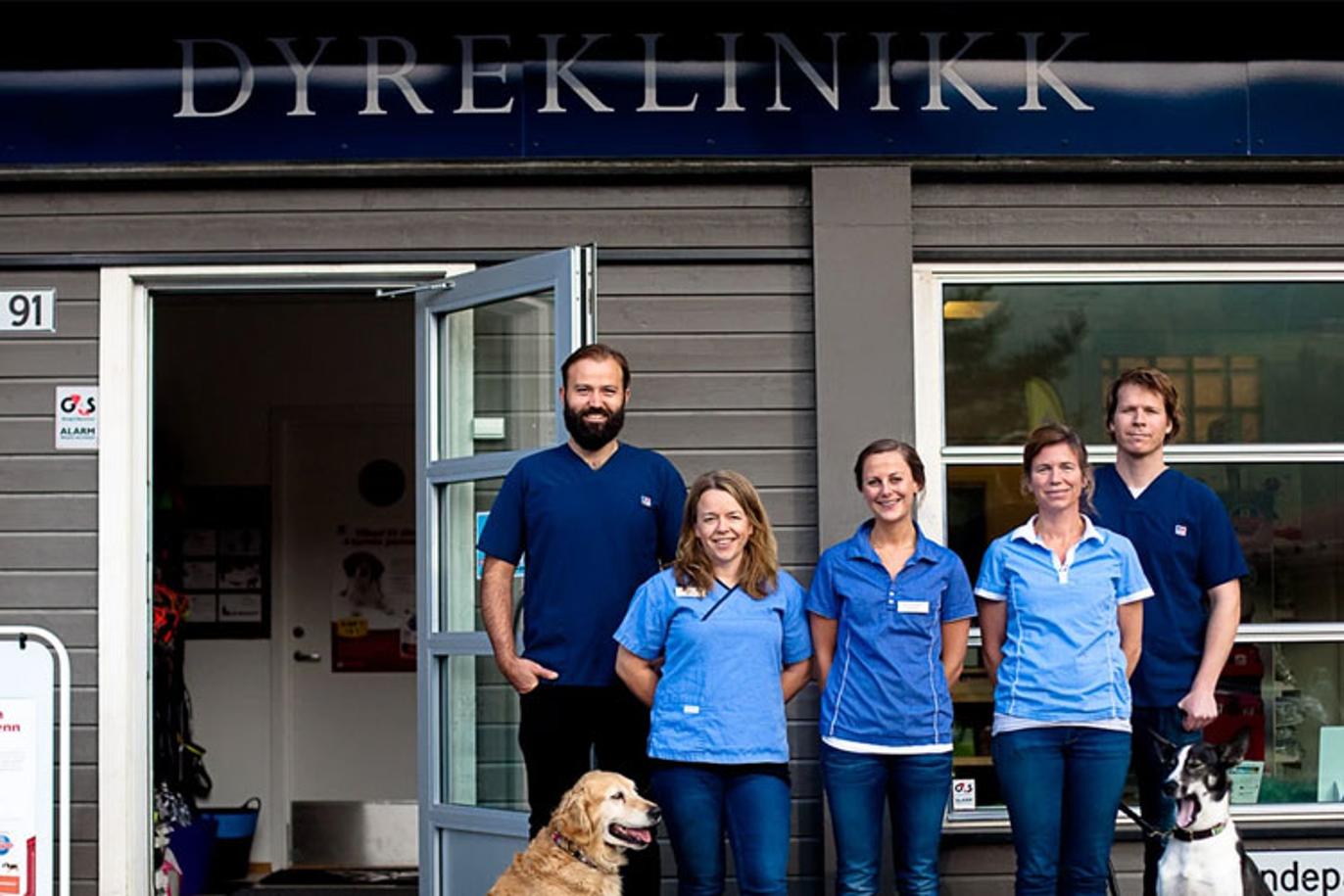 Images Veterinærvakta I Ål og Hol AS
