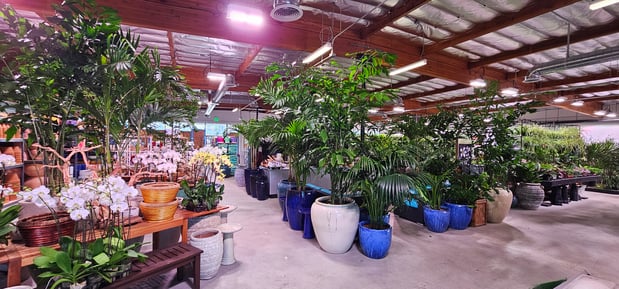 Images Deep Roots Garden Center