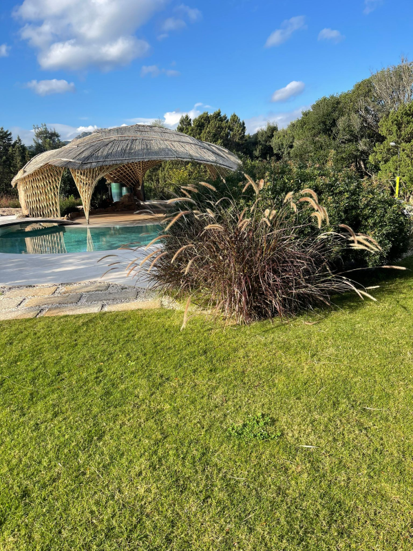 Images Disinfestazioni Ambientali Bachisio Carta