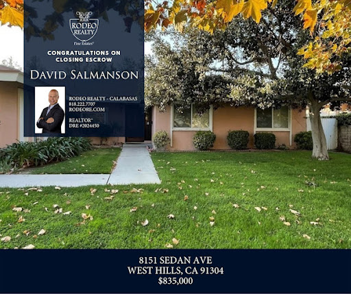 Images David Salmanson Realtor