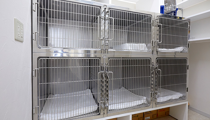 Images The vet 南麻布動物病院