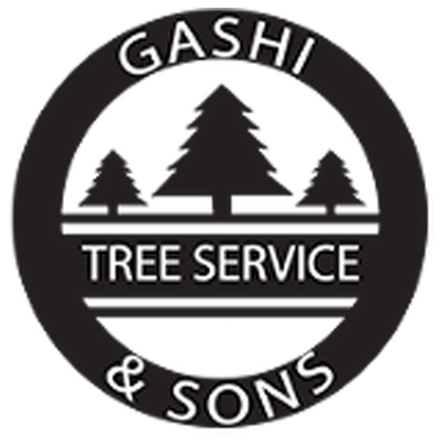 Gashi & Sons Tree Service Logo