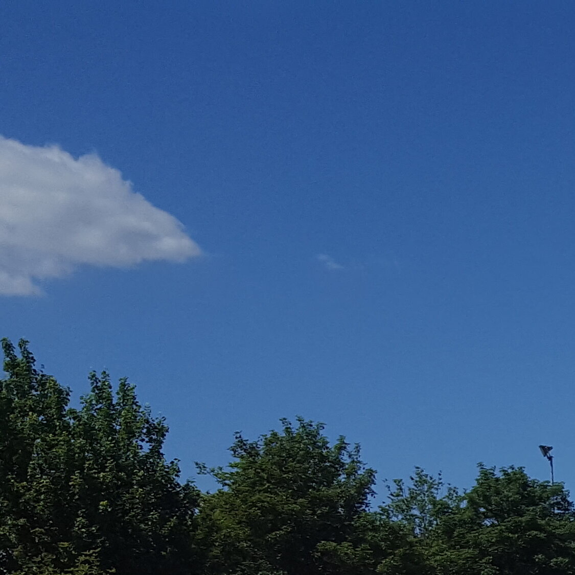 eggs Werbetechnik Franz Schmitt e.K., Königsberger Straße 4 in Laufach