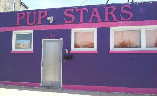 Pupstars Pet Care