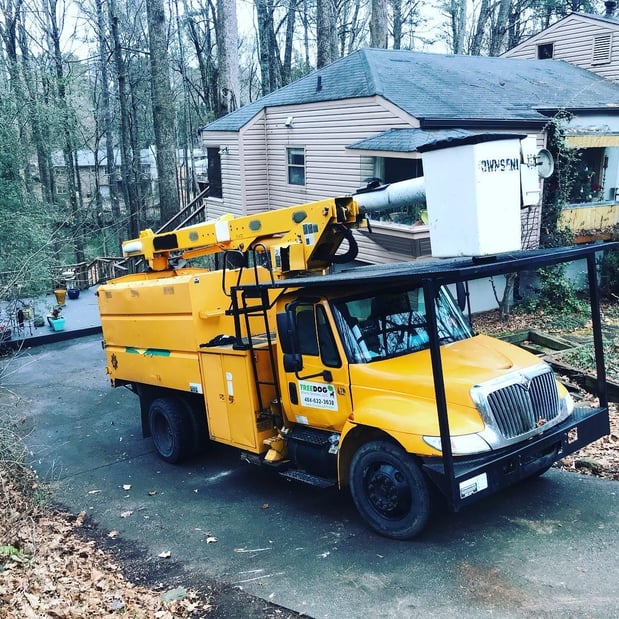 Images TreeDog Atlanta Services LLC