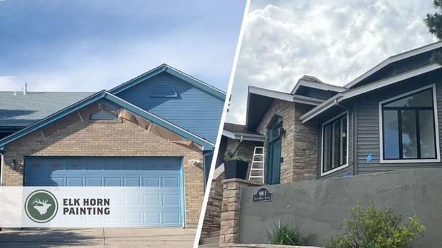 Images Elk Horn Painting - Denver