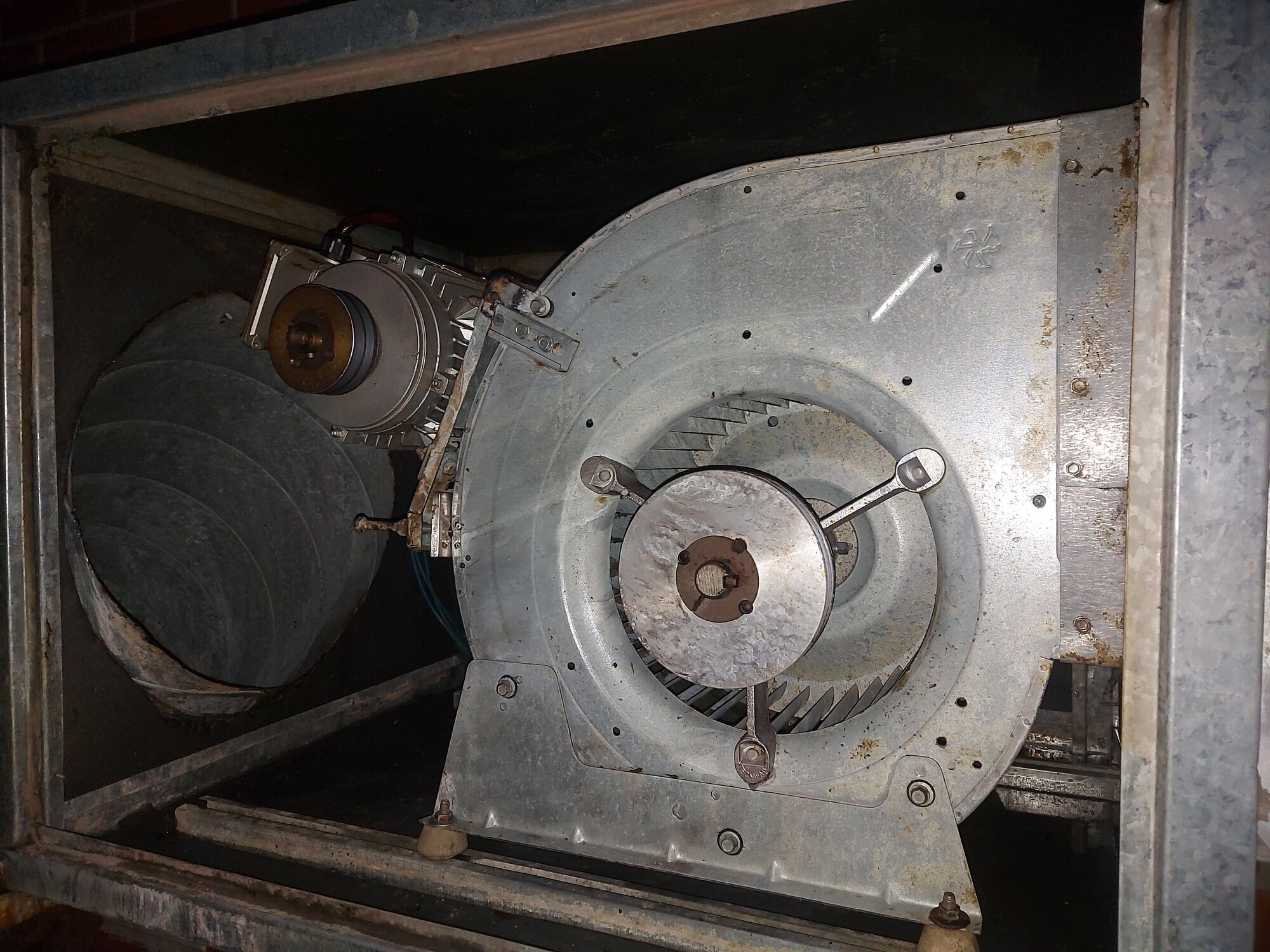 Images Limpieza Profesional Medelime, S.L.