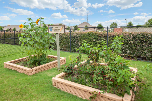 Images Primrose School of Prestmont