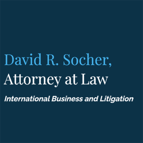 David R. Socher, Attorney at Law