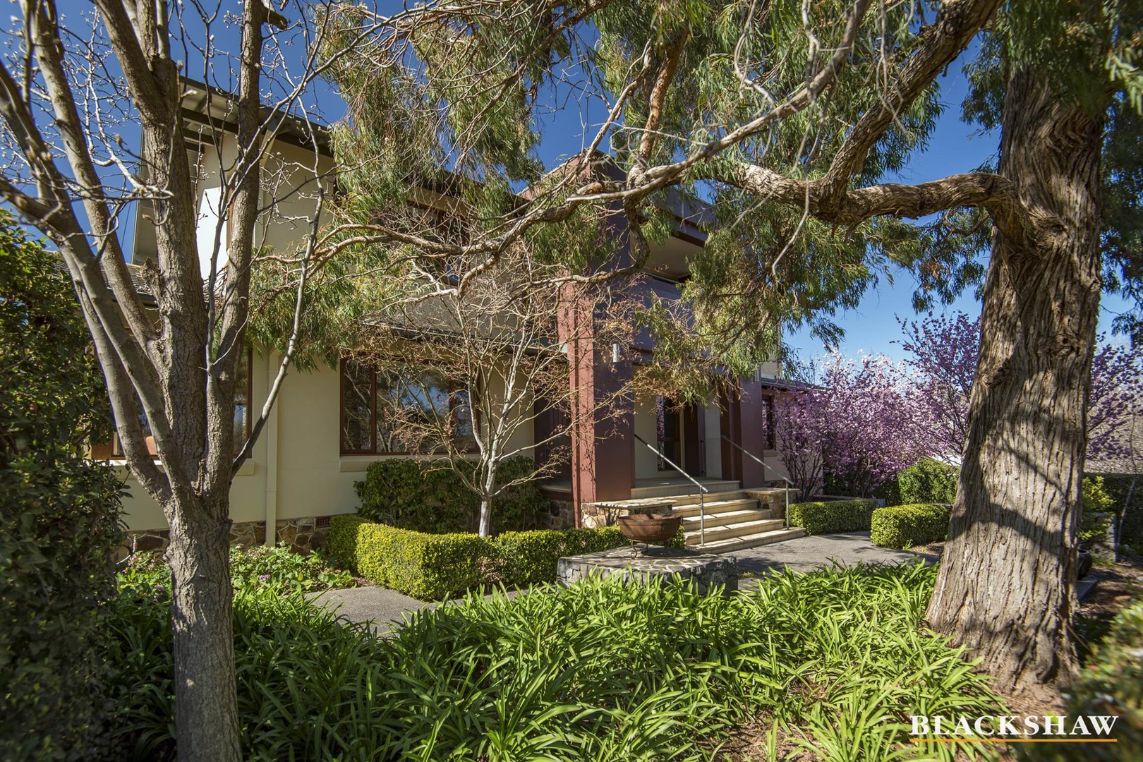 Images Blackshaw Real Estate Woden