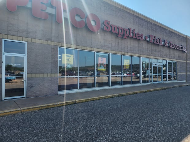 Images Petco Grooming