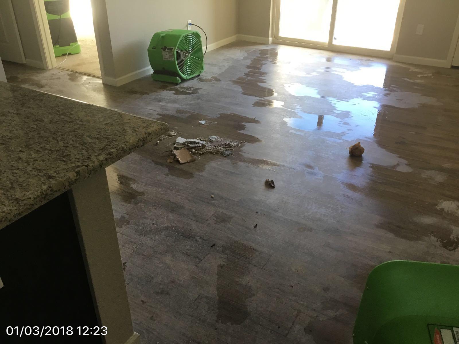 SERVPRO of North Thornton / Brighton Photo