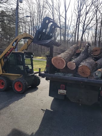 Images Fine Cut & Trim