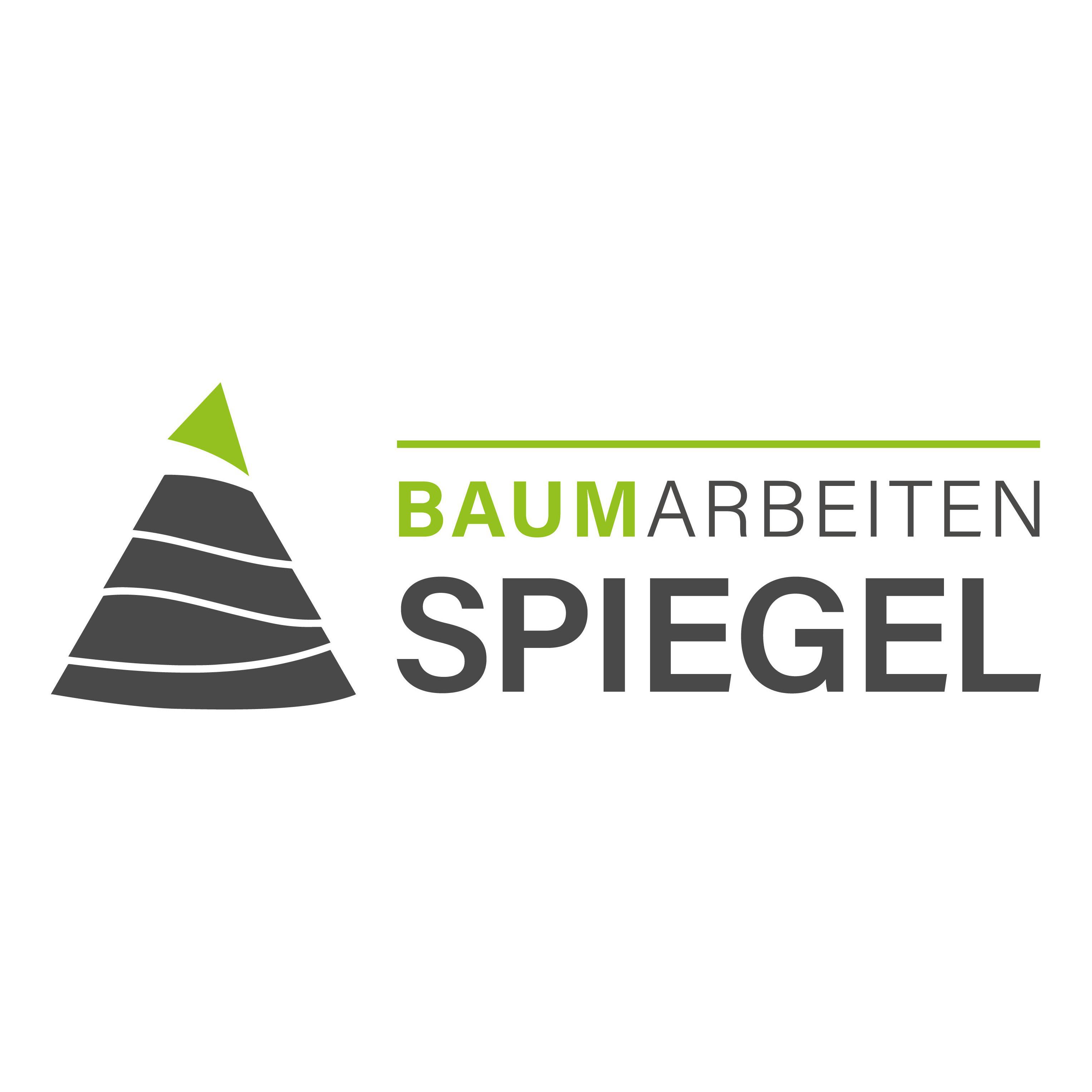 Logo von Baumarbeiten Spiegel - Spiegel GmbH