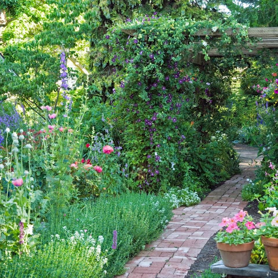 Clemson Landscape Design Logo