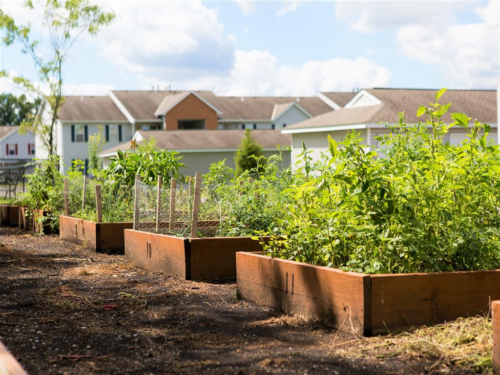 Dooley's Orchard community garden areas.