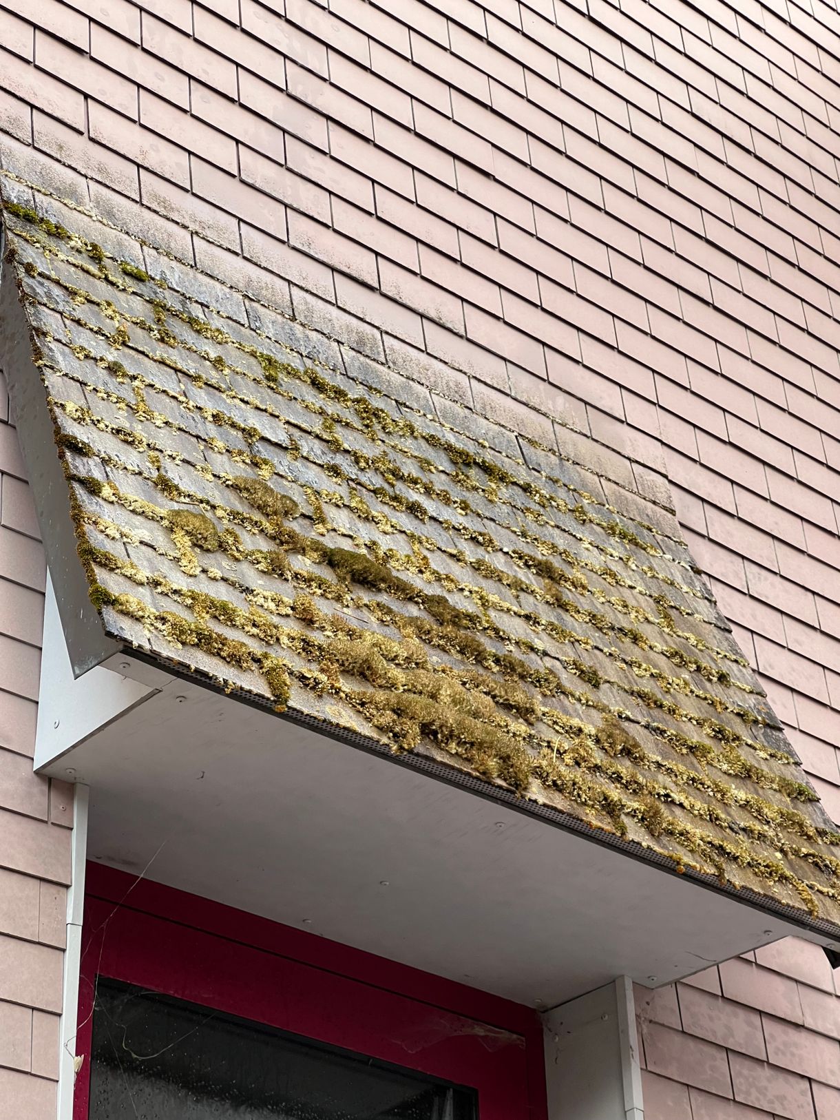 Bilder Gebäudereinigung RUPPANNER Hauswartungen KECKEX.swiss